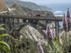 A magia e o caos da Rodovia 1 totalmente aberta para Big Sur