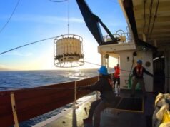 Como o CalCOFI, o programa de monitoramento oceânico da SoCal, mudou o El Niño
