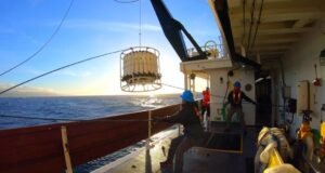 Como o CalCOFI, o programa de monitoramento oceânico da SoCal, mudou o El Niño