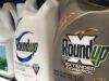 Decisão da Suprema Corte bloqueia milhares de ações judiciais contra fabricante do herbicida Roundup