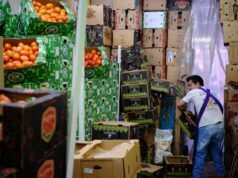 Por que os preços do tomate explodem repentinamente no verão