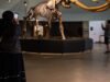 Adeus Smilodon: La Brea Tar Pits fechará por dois anos