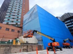 Artista processa FIFA por destruição de imagens de baleias de Dallas antes da Copa do Mundo