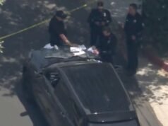 Proprietário de casa de Los Angeles encontrou 20 peças de dinamite viva em uma geladeira
