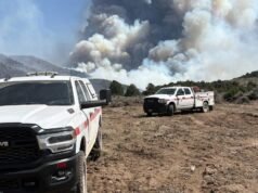 Calor, vento e seca estão causando incêndios florestais no Ocidente