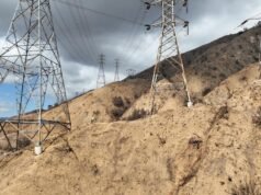 As evidências estabeleceram que a linha absurda de Edison alimentou o incêndio de Eaton, disseram os advogados