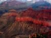 Calor esperado novamente no Grand Canyon depois que três caminhantes morreram de insolação
