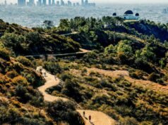 O caminhante morreu após tentar salvar Hollywood Hills