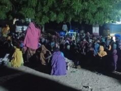 Exército nigeriano liberta 360 pessoas sequestradas no nordeste de Borno