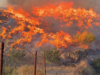 Presos pelo fogo em poucos minutos: o incêndio em Los Gallardos (Almería) acordou as vítimas que tentavam sair de carro ou a pé.