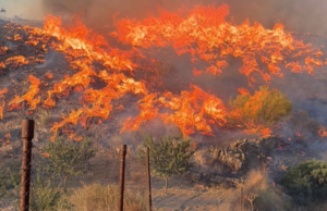 Presos pelo fogo em poucos minutos: o incêndio em Los Gallardos (Almería) acordou as vítimas que tentavam sair de carro ou a pé.