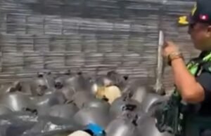 Talara: Polícia encontrou poço subterrâneo ilegal contendo 130 barris de petróleo bruto