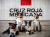 Cruz Vermelha Mexicana homenageia equipes de resgate e casal de cães após missão humanitária na Venezuela