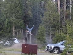 Bison ataca o avô na frente dos netos no acampamento de Yellowstone: vídeo chocante do ataque