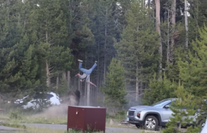Bison ataca o avô na frente dos netos no acampamento de Yellowstone: vídeo chocante do ataque