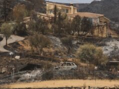 O incêndio de Los Gallardos mostra “o impacto da falta de responsabilidade e da negação climática do Governo da Andaluzia”