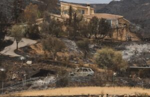 O incêndio de Los Gallardos mostra “o impacto da falta de responsabilidade e da negação climática do Governo da Andaluzia”