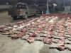 Mais de 190 quilos de cortes de carne de espécies protegidas foram apreendidos durante busca da polícia em Santa Cruz