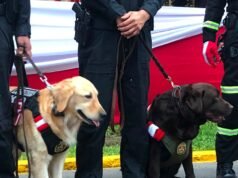 Desfile militar 2026 AO VIVO: cada minuto do grande desfile pelos 205 anos da independência do Peru