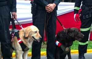 Desfile militar 2026 AO VIVO: cada minuto do grande desfile pelos 205 anos da independência do Peru