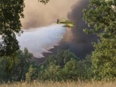 Últimas notícias sobre os incêndios em Espanha, em directo | Quase 1.000 pessoas ainda foram evacuadas devido ao incêndio em Madrid e 14 municípios foram evacuados em Zamora.