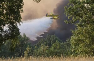 Últimas notícias sobre os incêndios em Espanha, em directo | Quase 1.000 pessoas ainda foram evacuadas devido ao incêndio em Madrid e 14 municípios foram evacuados em Zamora.
