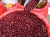 O governo de Honduras anunciou a importação de feijão do Brasil, Nicarágua e Paraguai para evitar a escassez de alimentos