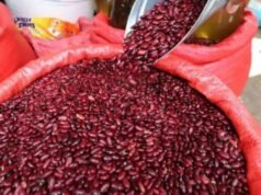 O governo de Honduras anunciou a importação de feijão do Brasil, Nicarágua e Paraguai para evitar a escassez de alimentos