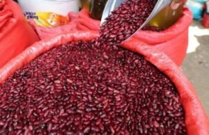 O governo de Honduras anunciou a importação de feijão do Brasil, Nicarágua e Paraguai para evitar a escassez de alimentos