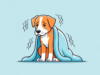 Cachorros andam quando está muito frio: como protegê-los