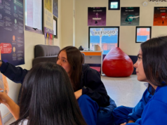 Quase 800 escolas privadas fecharam nos últimos cinco anos e o setor está cauteloso quanto à sua sustentabilidade