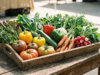 Legumes que excedem o brócolis em fibras e nutrientes