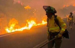 Pelo menos doze mortos e evacuação em massa devido ao incêndio de Los Gallardos em Almería