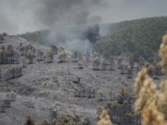 O incêndio de La Mierla (Guadalajara) entra no quinto dia e queimou mais de 26 mil hectares