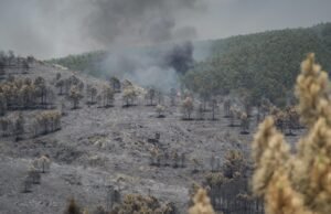 O incêndio de La Mierla (Guadalajara) entra no quinto dia e queimou mais de 26 mil hectares