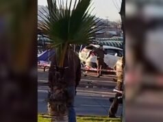 Seis mortos e sete feridos após acidente grave no mercado de Viña del Mar