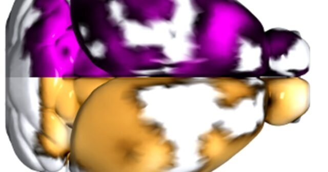 L7CFDFN7LFGZHBBDFCCUZVV5EE.jpg