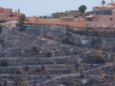 O incêndio florestal de Los Gallardos foi controlado e o retorno de 1.000 desabrigados foi permitido