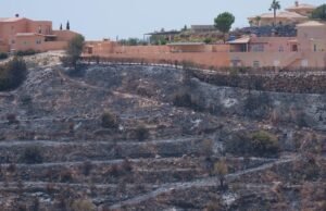 O incêndio florestal de Los Gallardos foi controlado e o retorno de 1.000 desabrigados foi permitido