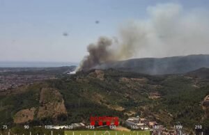 Cerca de 6.000 pessoas têm de ser resgatadas do incêndio florestal que começou em Gavà