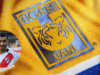 Tigres buscará outro jogador da Copa do Mundo para compensar a perda de Ángel Correa