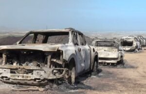 Foi concluída a identificação das 13 vítimas do incêndio em Los Gallardos, Almería