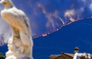 Últimas notícias sobre os incêndios em Espanha, em directo | O governo declarou emergência nacional em Madrid e Ávila, onde 11.500 pessoas foram deslocadas.