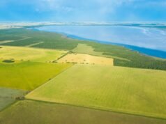 O mapa que explica a logística de exportação agrícola da Argentina