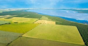 O mapa que explica a logística de exportação agrícola da Argentina