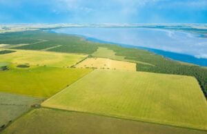 O mapa que explica a logística de exportação agrícola da Argentina
