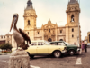 Houve um tempo em que os pelicanos chegavam à Plaza Mayor de Lima e isso poderia acontecer de novo: o que poderia acontecer?