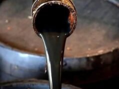 Um grupo argentino adquiriu 91% da petrolífera canadiana Crown Point e está a acelerar a sua expansão em três bacias do país.