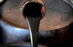 Um grupo argentino adquiriu 91% da petrolífera canadiana Crown Point e está a acelerar a sua expansão em três bacias do país.