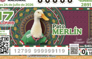 Sorteio Superior 2891: Resultados da Loteria Nacional de sexta-feira, 24 de julho de 2026
